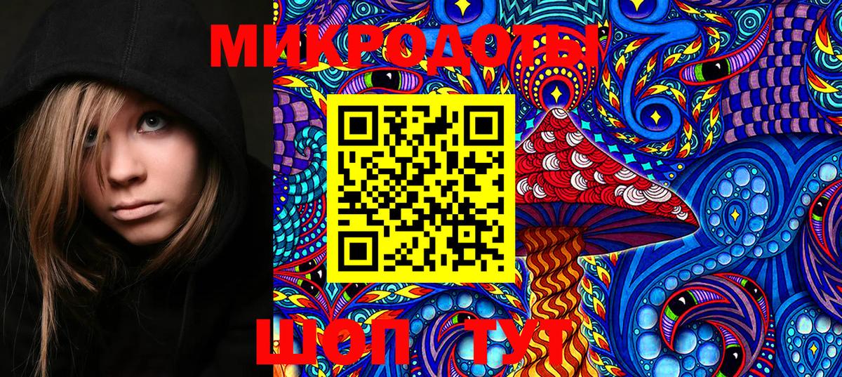 Псилоцибиновые грибы MAGIC MUSHROOMS Асино
